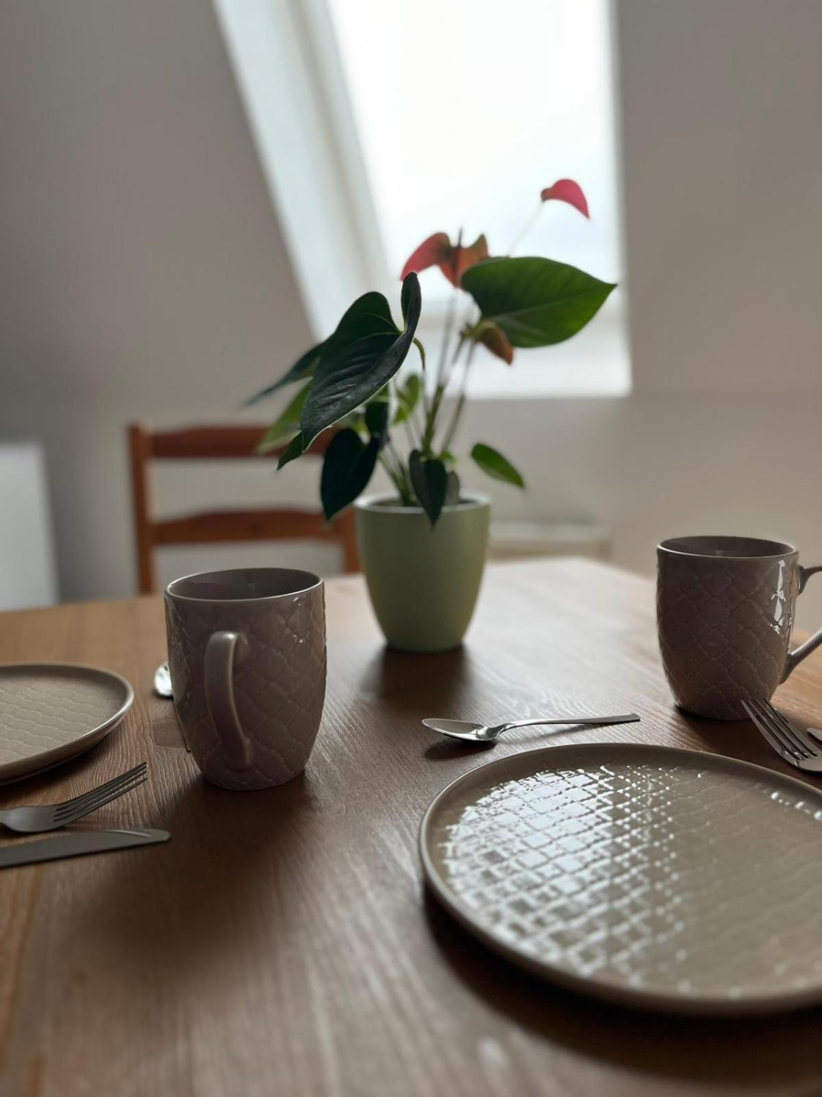 1 Raum Dachgeschosswohnung In Ruhiger Lage Limabach - Oberfrohna Exteriér fotografie